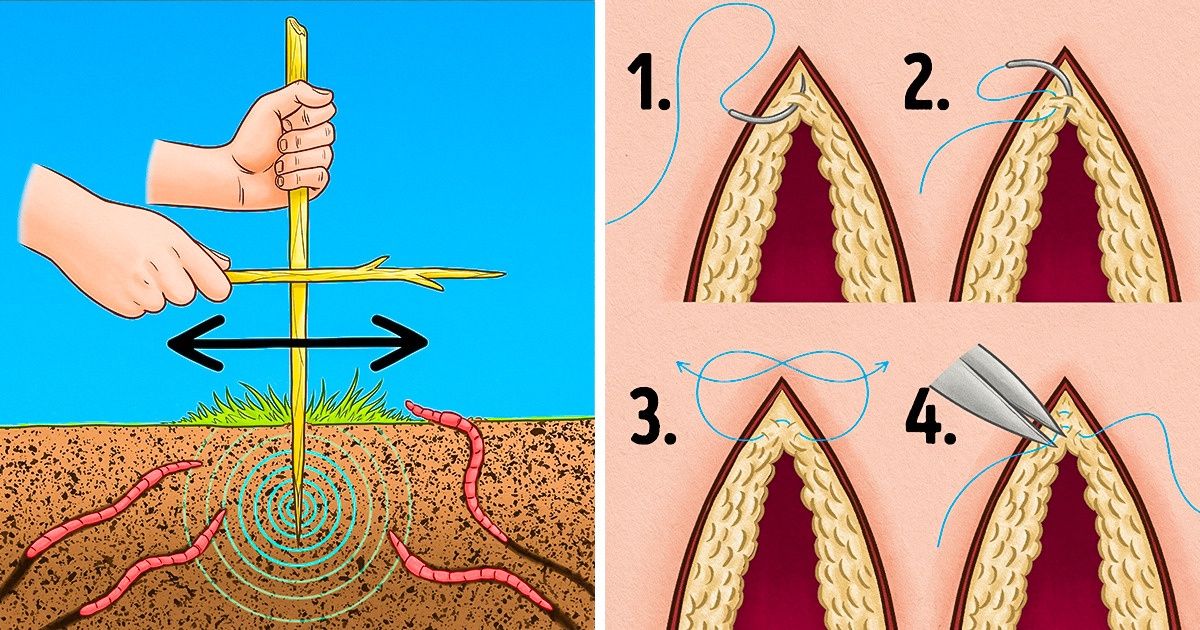 Survival Tips That Can Save Your Life When All Else Seems Lost