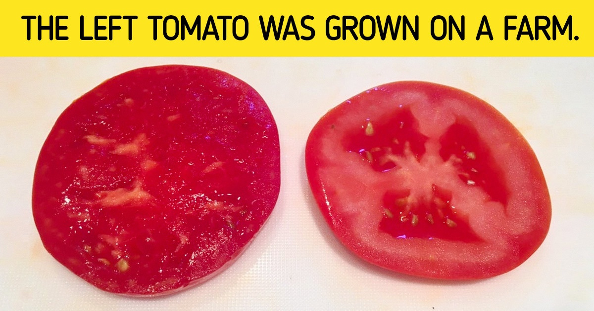 28 Things Almost No One Has Seen in Person