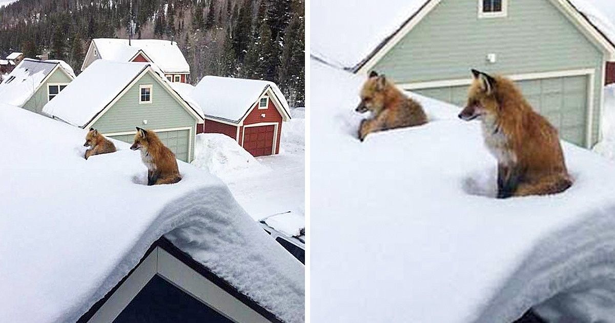 18 Things People Suddenly Discovered in Unexpected Places 18 Things People Suddenly Discovered in Unexpected Places