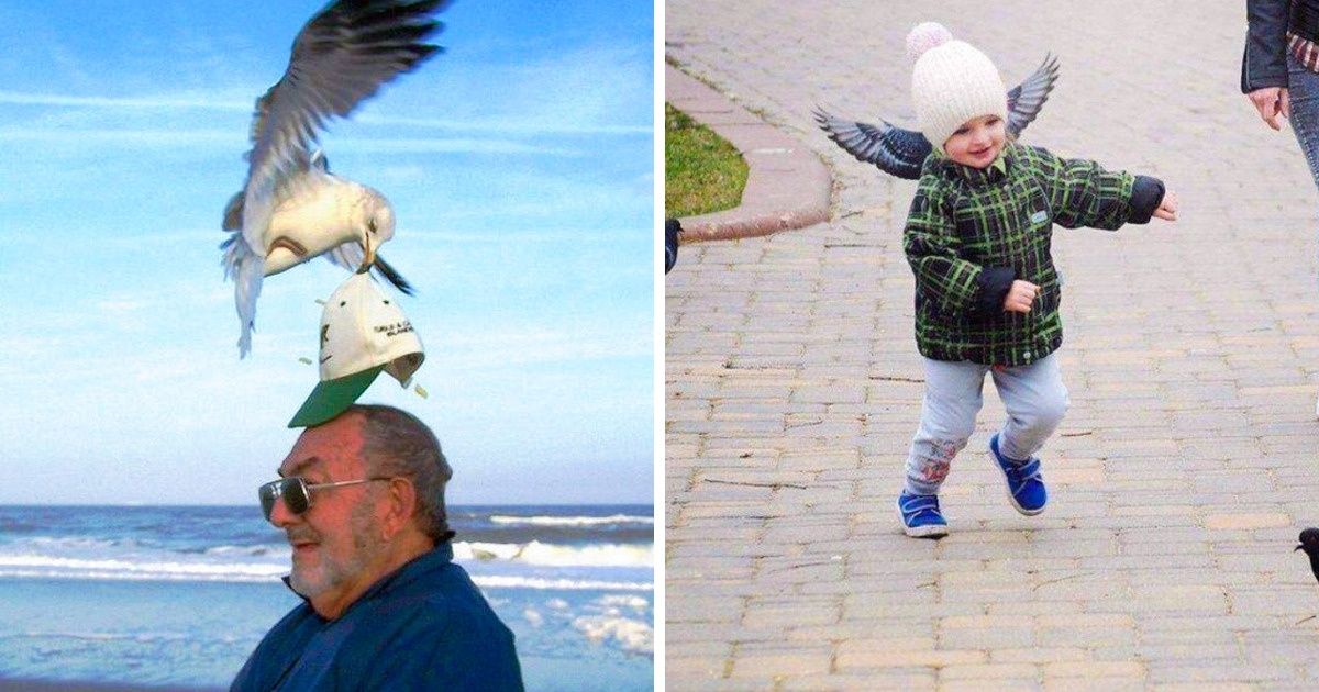 18 Epic Shots That Could Only Be Made by Grand Masters of Timing