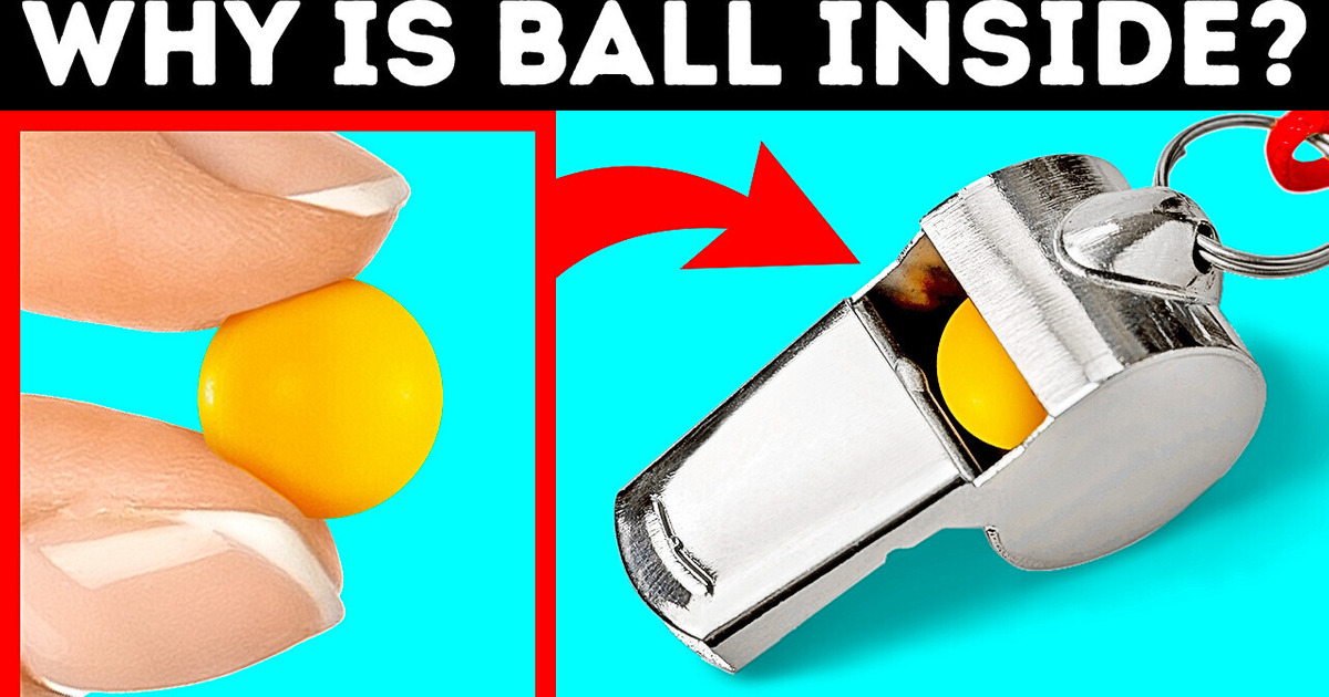 19 Facts You Can Use to Fill an Awkward Silence