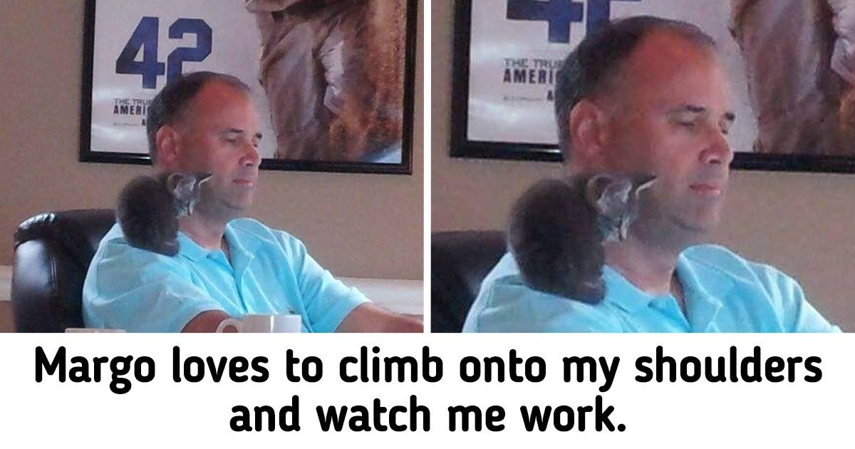 16 Pets Whose Signs of Love Are More Than Just Cuddles and Kisses 16 Pets Whose Signs of Love Are More Than Just Cuddles and Kisses