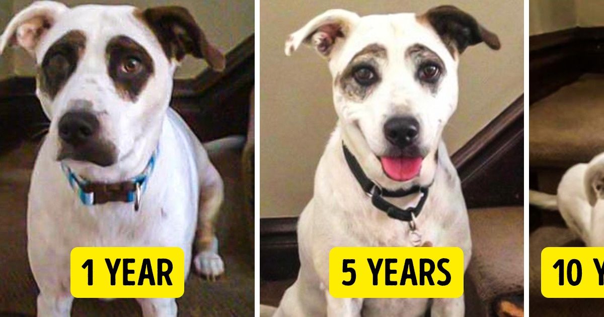 16 People Shared Pictures That Might Seem Ordinary at First Sight 16 People Shared Pictures That Might Seem Ordinary at First Sight