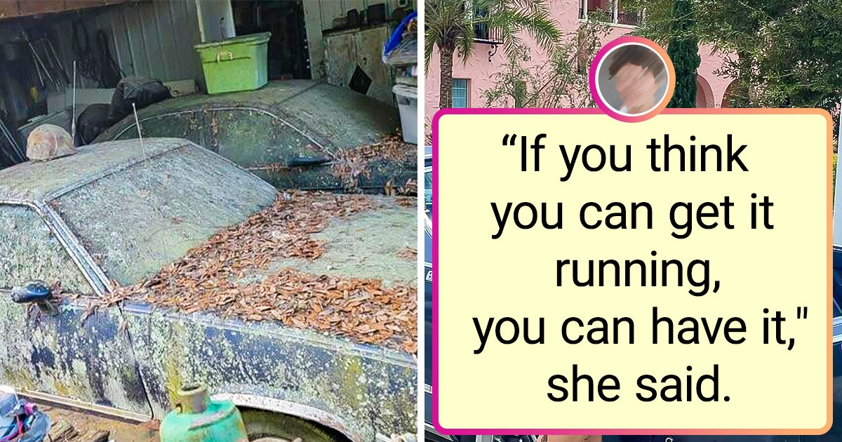 15 People Who Wouldn’t Give Up, No Matter the Cost