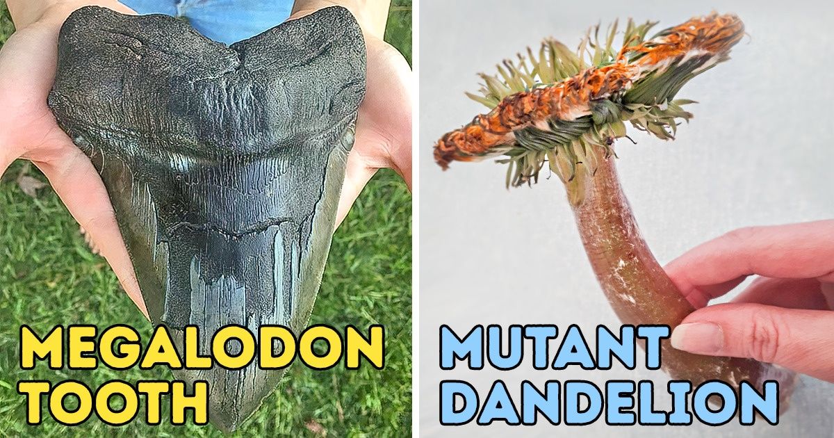 20 Powerful Photos That Prove Nature Is No Playground 20 Powerful Photos That Prove Nature Is No Playground