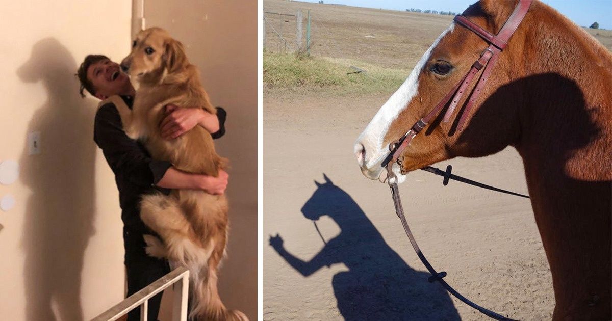 15+ Times the Game of Angles Made Us See More Than There Actually Was