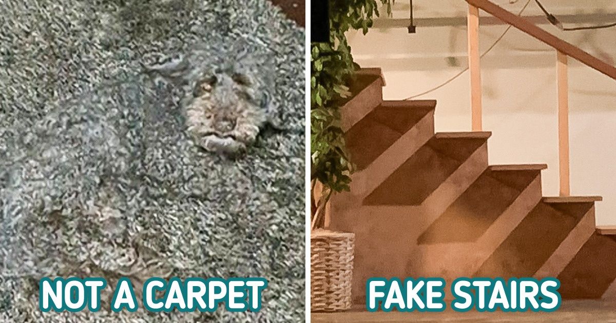 15+ Pics That’ll Totally Bamboozle Your Brain