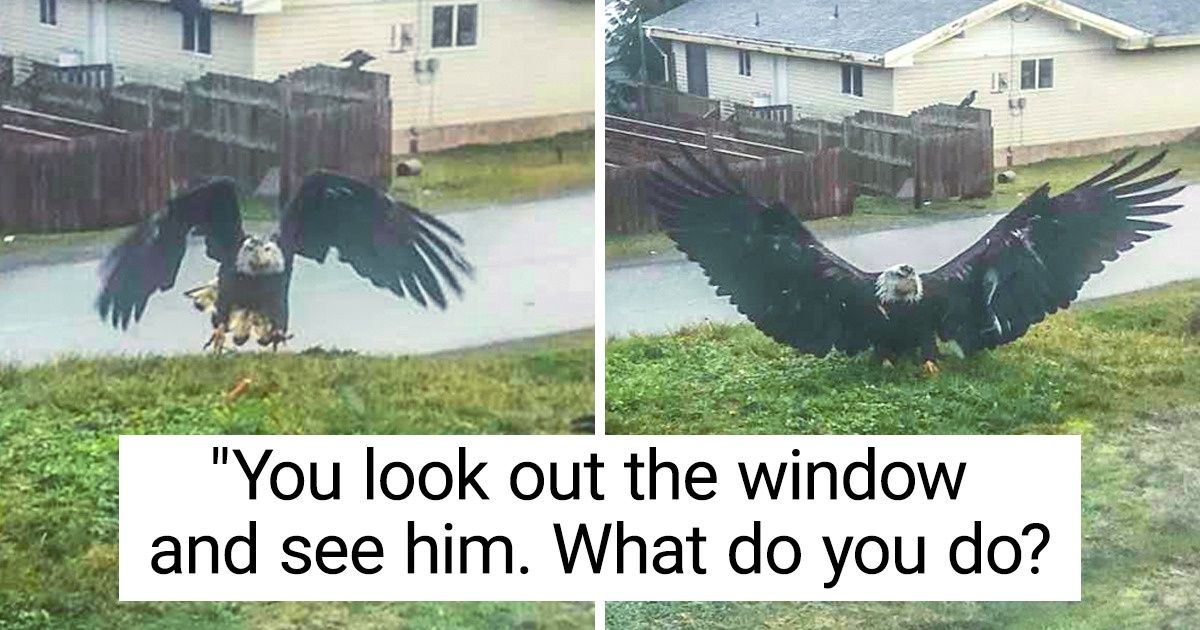 18 Animals That Look Like They Are From Another Planet 18 Animals That Look Like They Are From Another Planet