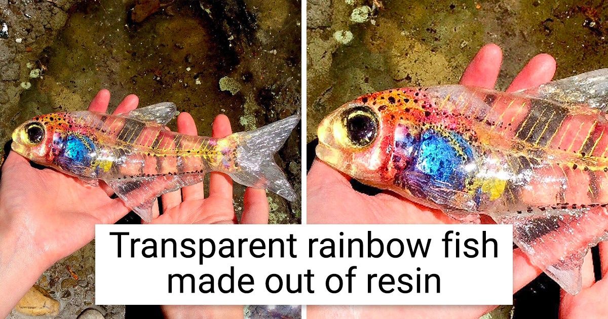 15 Times Where an Artist’s Creativity Went Beyond Reality