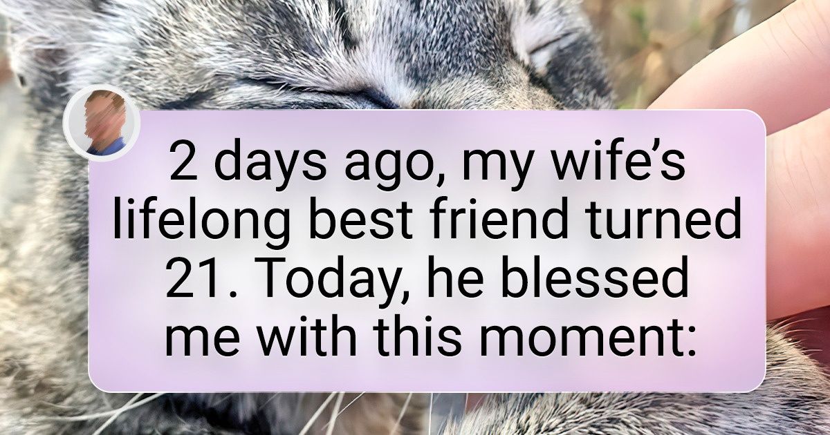 20+ Photo Stories About Friendship Between Pets and Their Owners That’ll Leave You Awe-Struck 20+ Photo Stories About Friendship Between Pets and Their Owners That’ll Leave You Awe-Struck