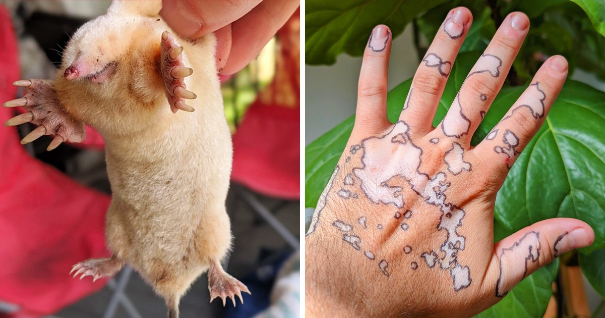 20 Times Nature Proved It Can Still Spice Up Your Day With Unusual Things