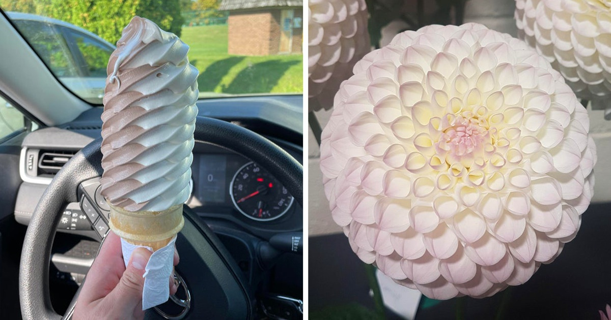 16 Soothing Pictures That Will Bring Waves of Calm to Your Brain