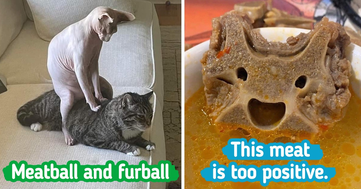 20 People Who Squeezed Some Extra Fun Out of Everyday Things