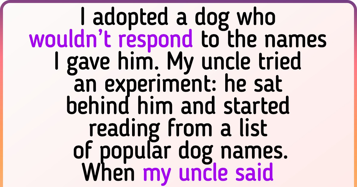 25+ Pet Owners Who Had to Go on a Quest to Find a Name for Their Fluffy Friends 25+ Pet Owners Who Had to Go on a Quest to Find a Name for Their Fluffy Friends