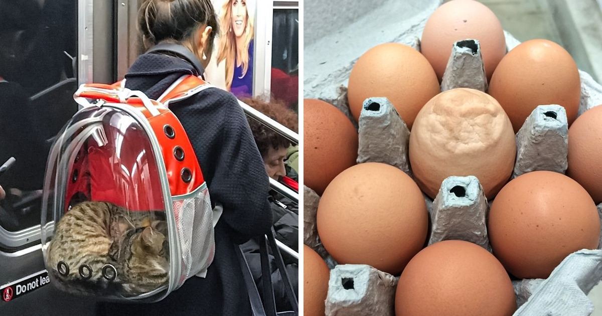 19 Fantastic Photos That Shine a New Light on Ordinary Things