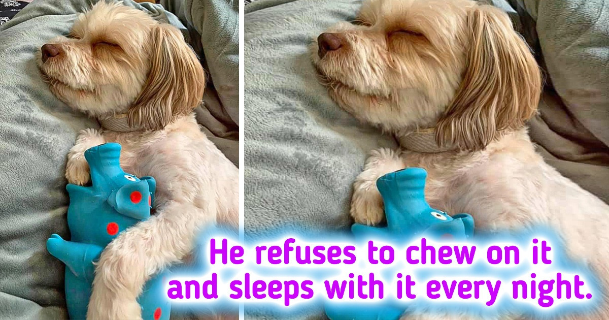 18 Amusing Photos That Are Sure to Spark Plenty of Giggles and Smiles