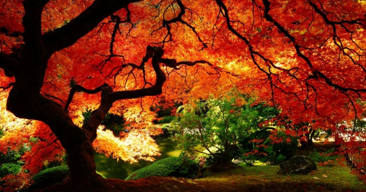 15 spell-binding places where autumn looks truly magnificent