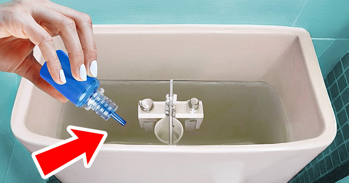 Add Food Coloring to the Toilet, See What Happens