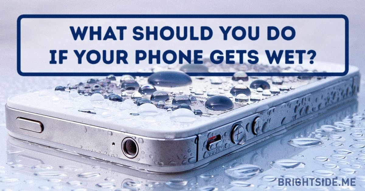 What should you do if your phone gets wet?