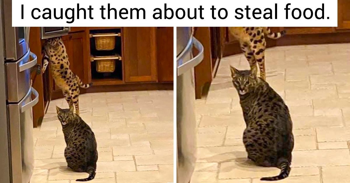 22 Times the Notion of “So Close Yet So Far” Left Us Hanging on the Edge of Our Seats