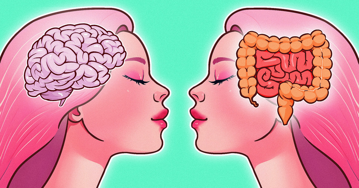 It Comes Out We Have Two Brains