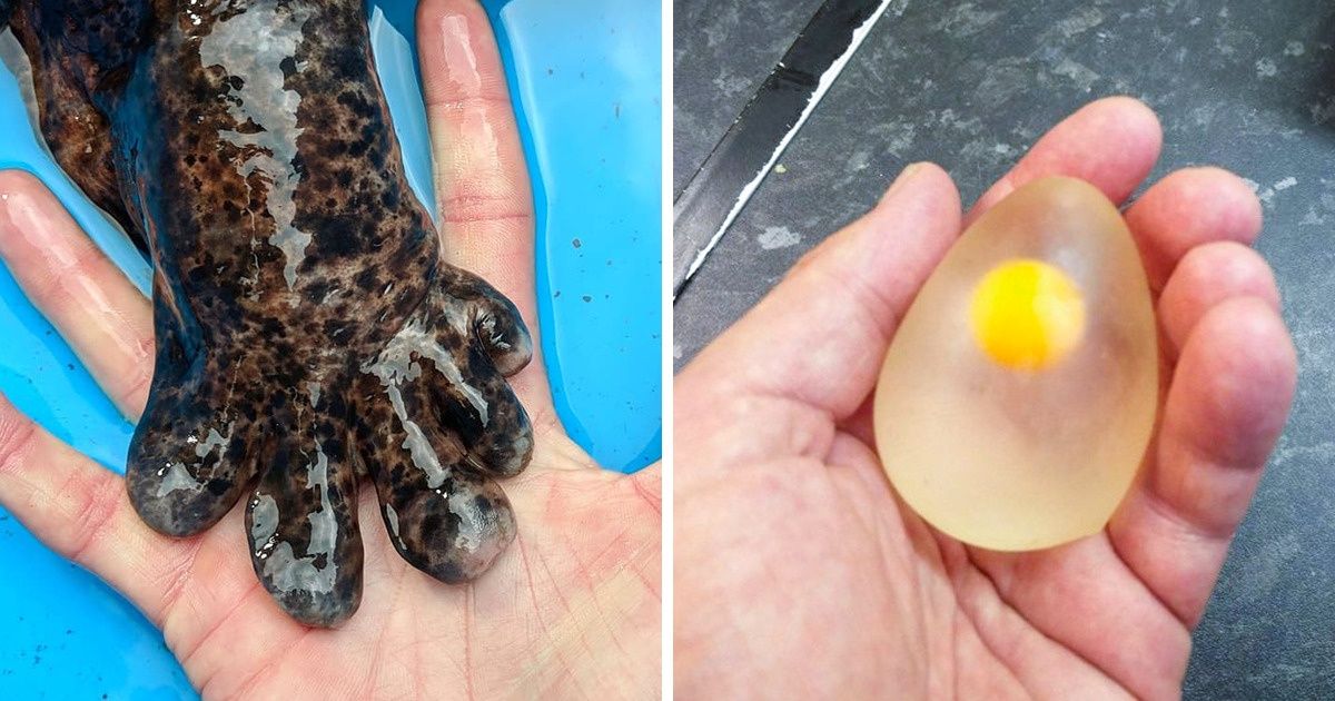 20+ Photos That Can Change the Way You See the World in Only 5 Minutes