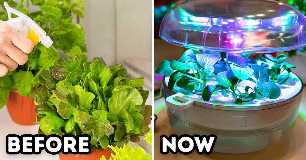 15 Things That Prove We Live in the Future, and It’s Great Here