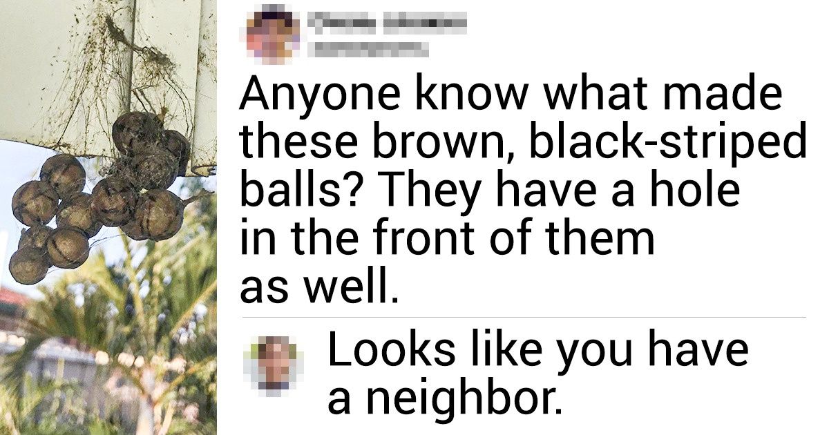13 Mysteries That Wouldn’t Be Solved Without the Internet 13 Mysteries That Wouldn’t Be Solved Without the Internet
