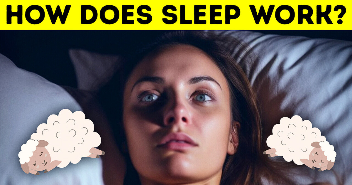 If You Fall Asleep Instantly, It’s Not a Good Thing / Bright Side