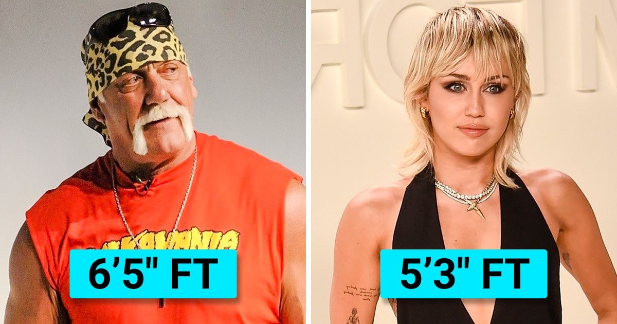 25+ Celebrities That Are Actually Taller or Shorter Than They Look on Screen