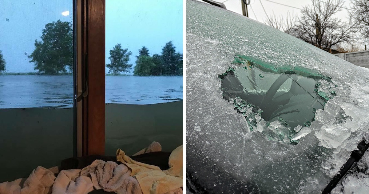 15 Times We and Nature Had Very Different Plans for the Day