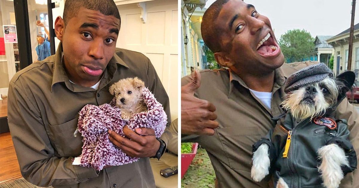 A UPS Driver Is Taking Epic Shots With the Dogs on His Route and We Want to Swap Jobs With Him A UPS Driver Is Taking Epic Shots With the Dogs on His Route and We Want to Swap Jobs With Him