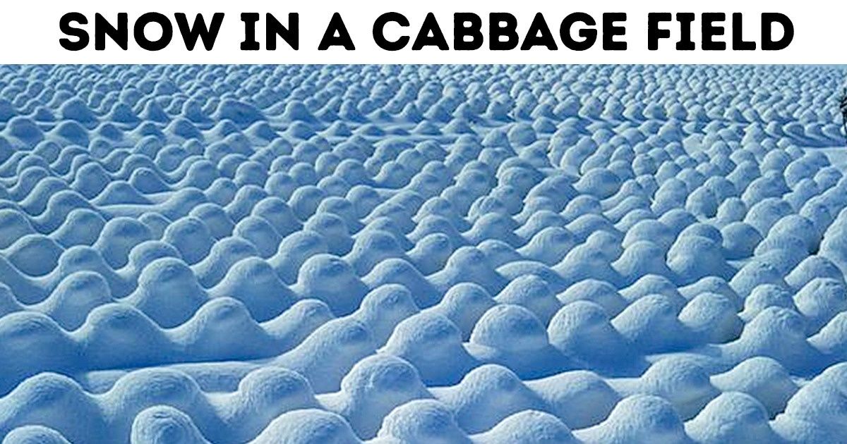 13 Magnificent Photos That Probably Were Taken in Another Reality