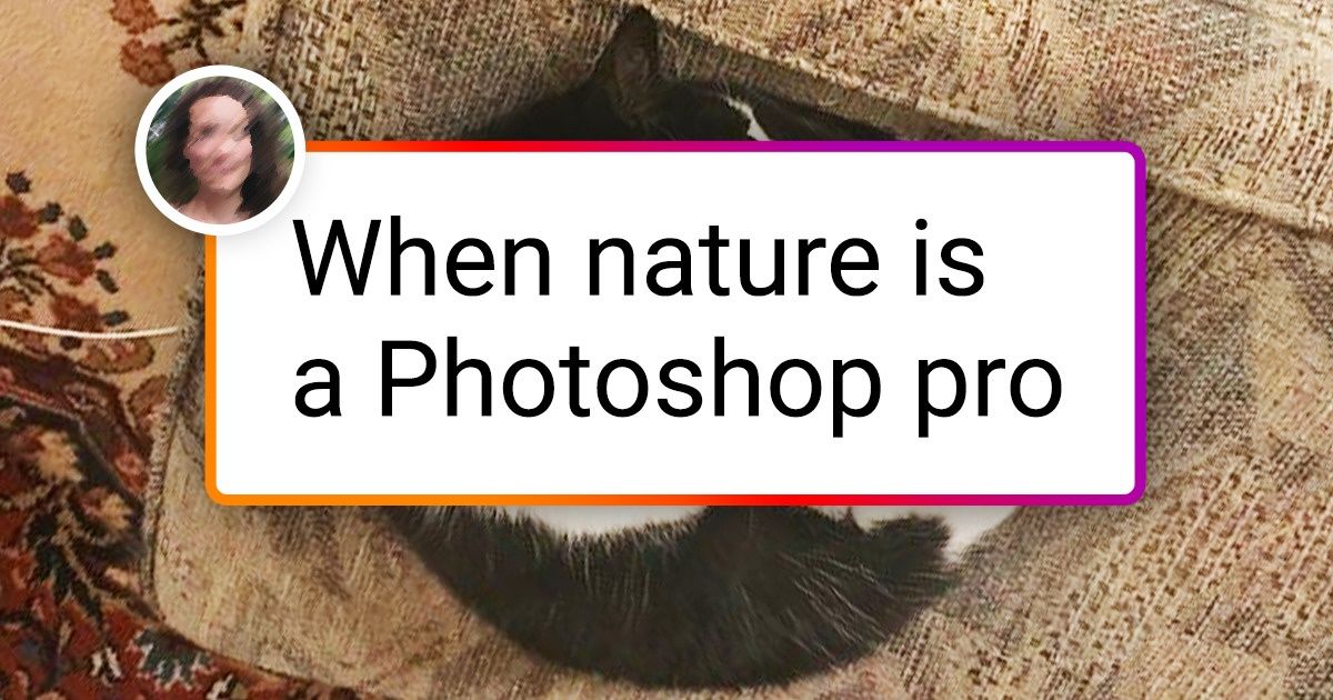 20 Animals Who Got a Special Gift From Nature