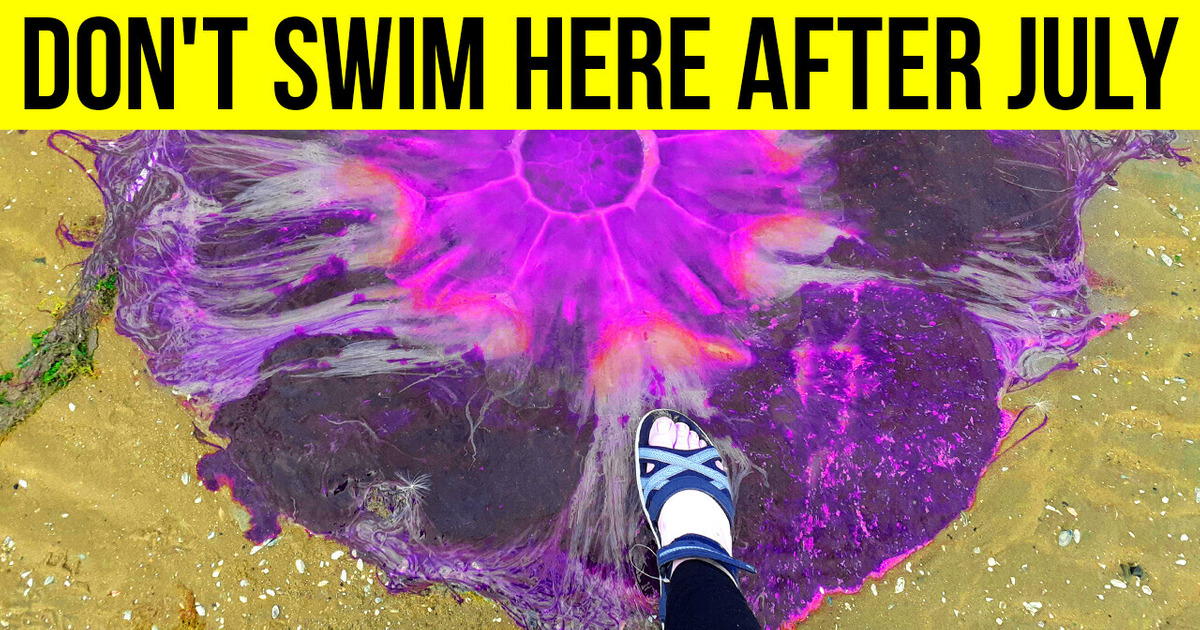 48 Times People Found Something Extremely Huge 48 Times People Found Something Extremely Huge