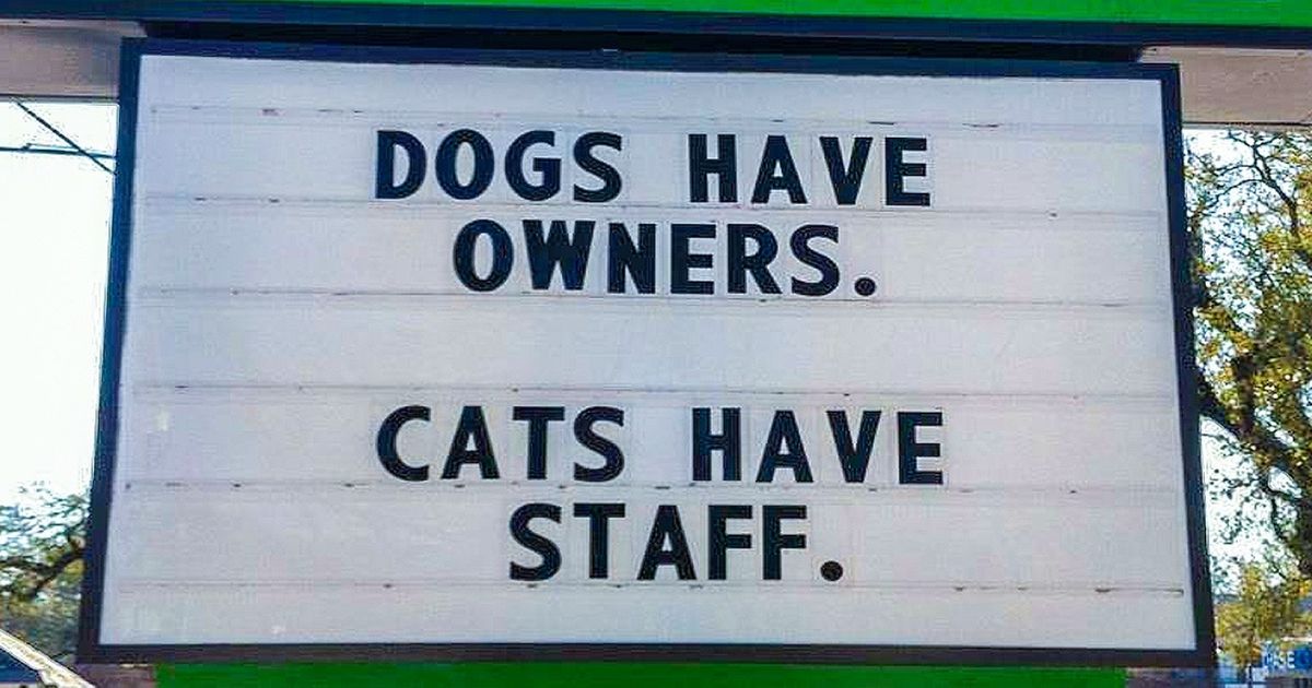 20 Vet Signs To Prove That Working With Animals Brings Out A Lot Of Hilariousness