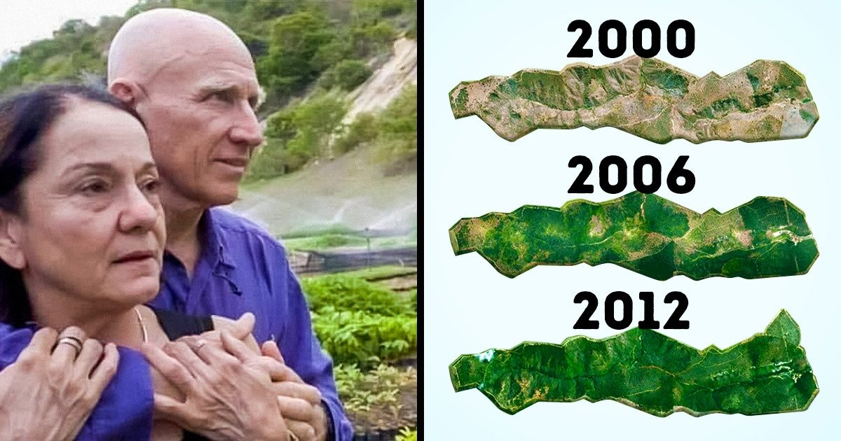 A Brazilian Couple Spent 20 Years Planting an Entire Forest, and Thousands of Wild Animals Are Back Home A Brazilian Couple Spent 20 Years Planting an Entire Forest, and Thousands of Wild Animals Are Back Home