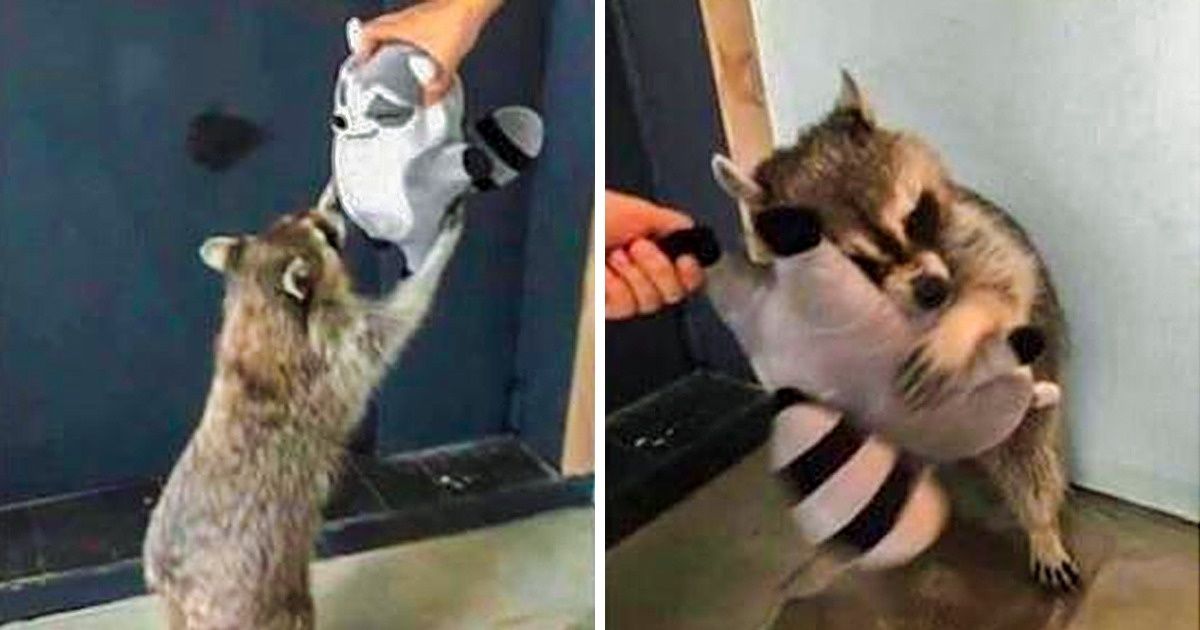 24 Adorable Photos That Can Touch Even Those Who Have a Heart of Stone