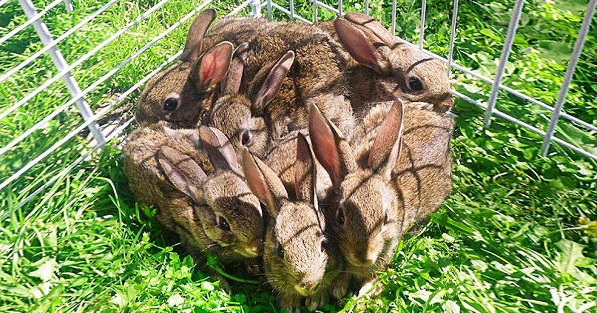 There Is Nothing Perfect in This World, But Here Are 30 Pictures Proving the Opposite