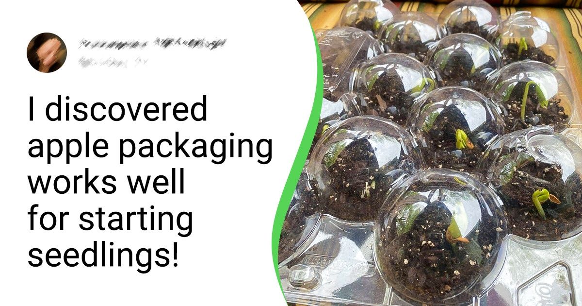 15+ Clever Gardening Tips That Can Save You Loads of Time and Money 15+ Clever Gardening Tips That Can Save You Loads of Time and Money