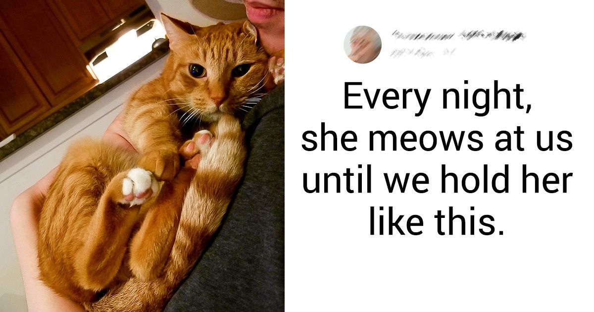 17 Animal Photos That Have Amazing Stories Behind Them 17 Animal Photos That Have Amazing Stories Behind Them