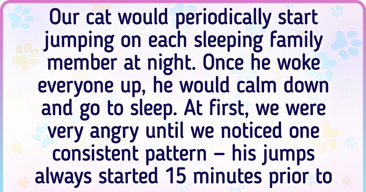 18 Pets Who Rushed to Help Their Owners Without a Pinch of Hesitation