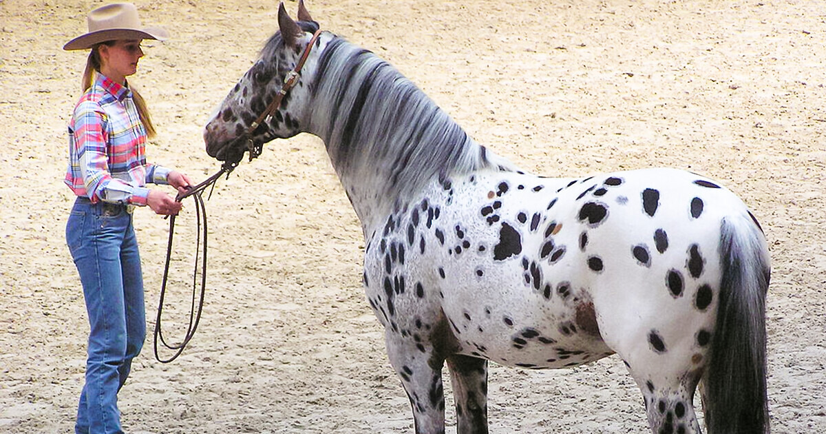 9 Animals That Are So Rare, It’s Hard to Imagine They’re Real