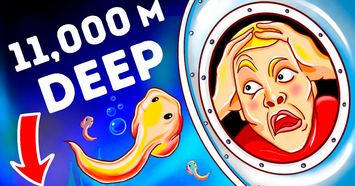 You Can Dive Only 2% of Mariana Trench, Then Trouble Starts You Can Dive Only 2% of Mariana Trench, Then Trouble Starts