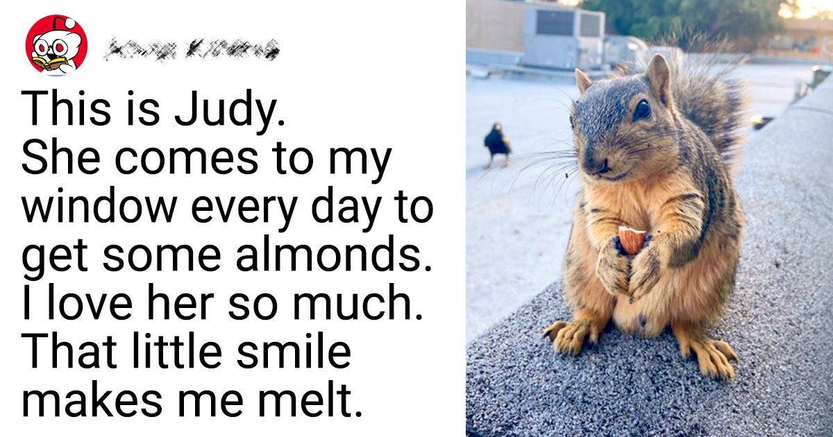 20 Squirrels That Stopped by for a Quick Hello