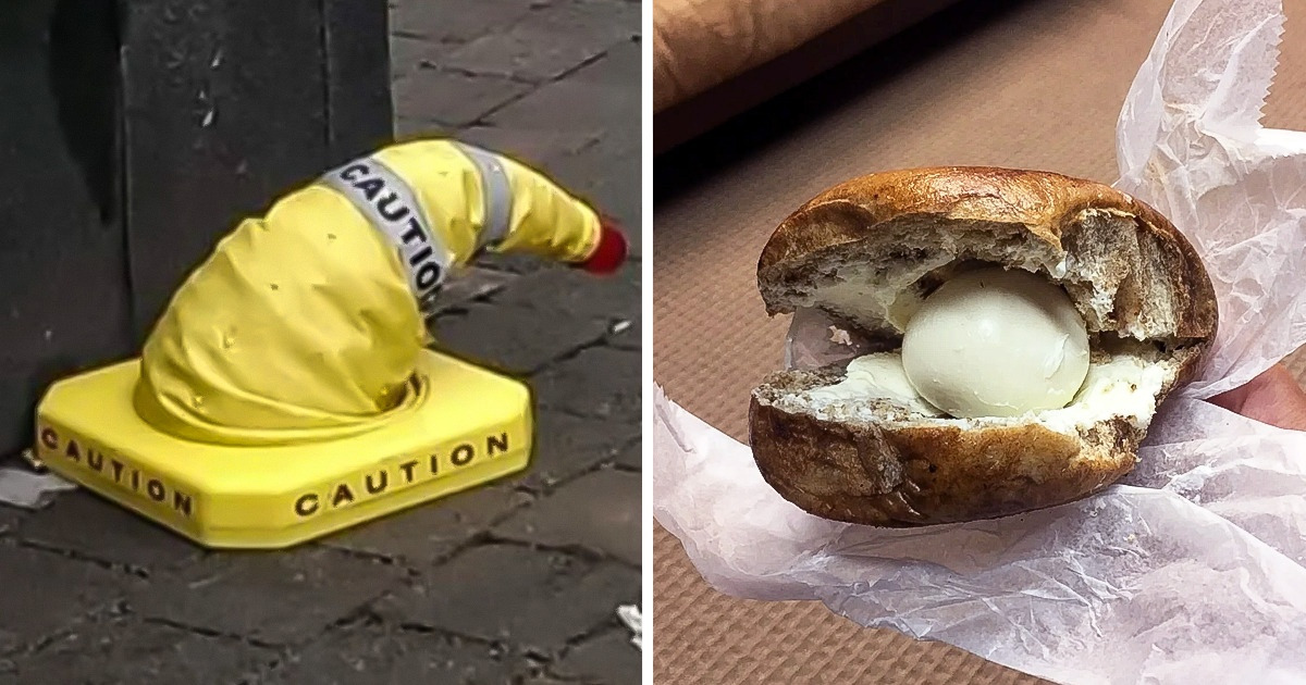 21 Times Logic Was Easily Deafeated With Laziness