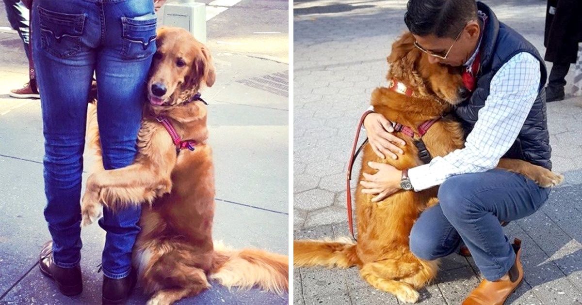 20 Animals Who Love Us Unconditionally