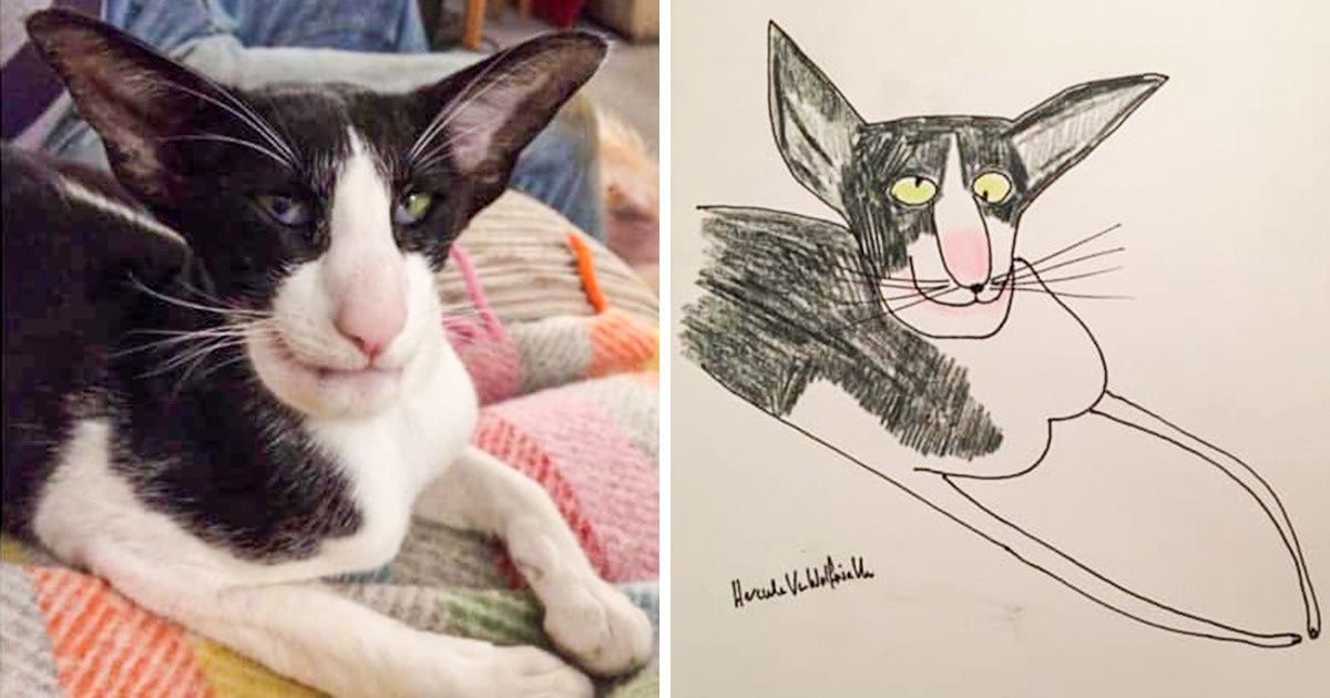 A Guy Goes Viral for His Poorly-Drawn Pet Portraits and Raises Thousands for Charity