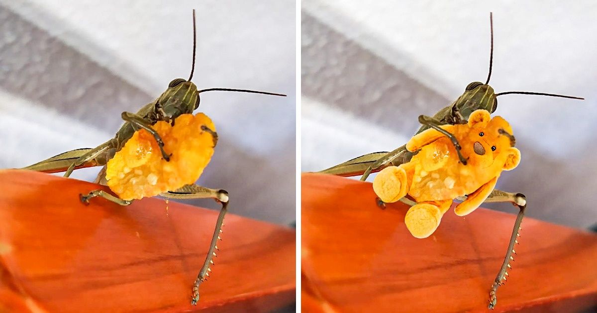 14 Times Photoshop Battles Went Wild and Added a New Layer of Creativity