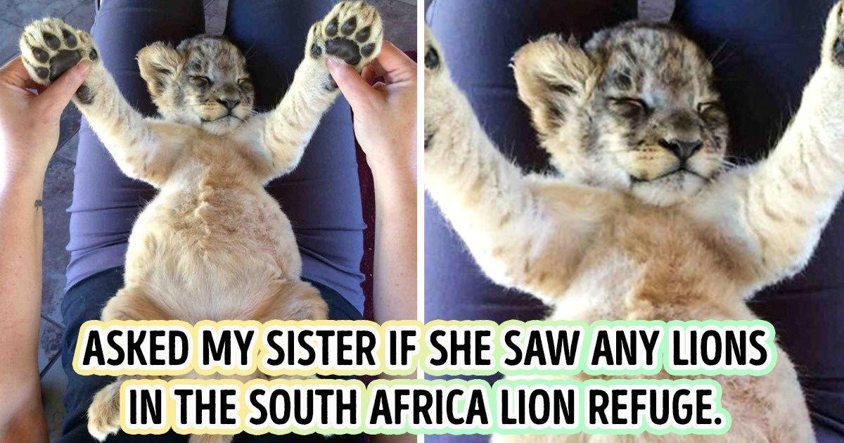 18 Times People Received a Huge Smile From the Universe 18 Times People Received a Huge Smile From the Universe